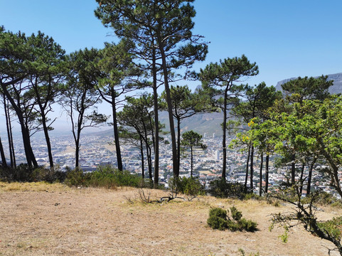 AOS Travel and Tours-Cape Point必去景点