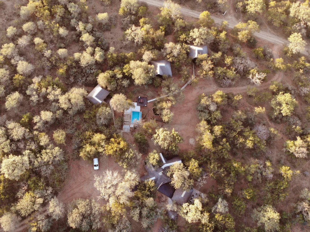 Tusk Bush Lodge主图