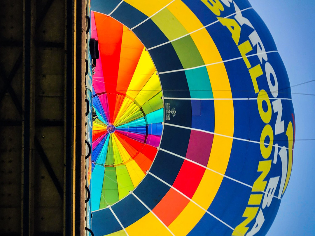 Byron Bay Ballooning景点图片