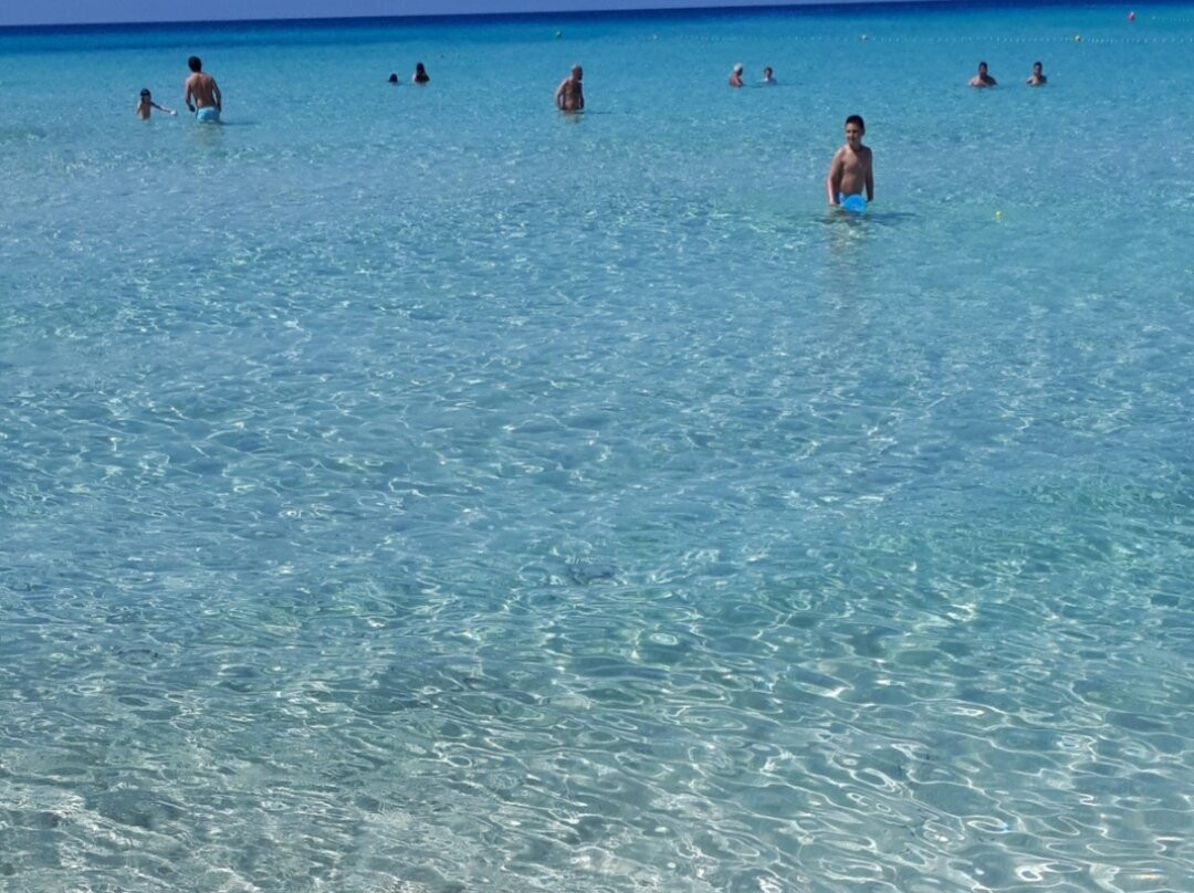 Platja Des Arenals景点图片
