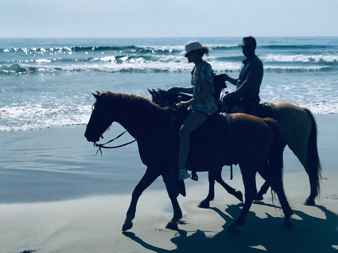 Traditional Horseriding of La Misión-La Mision必去景点