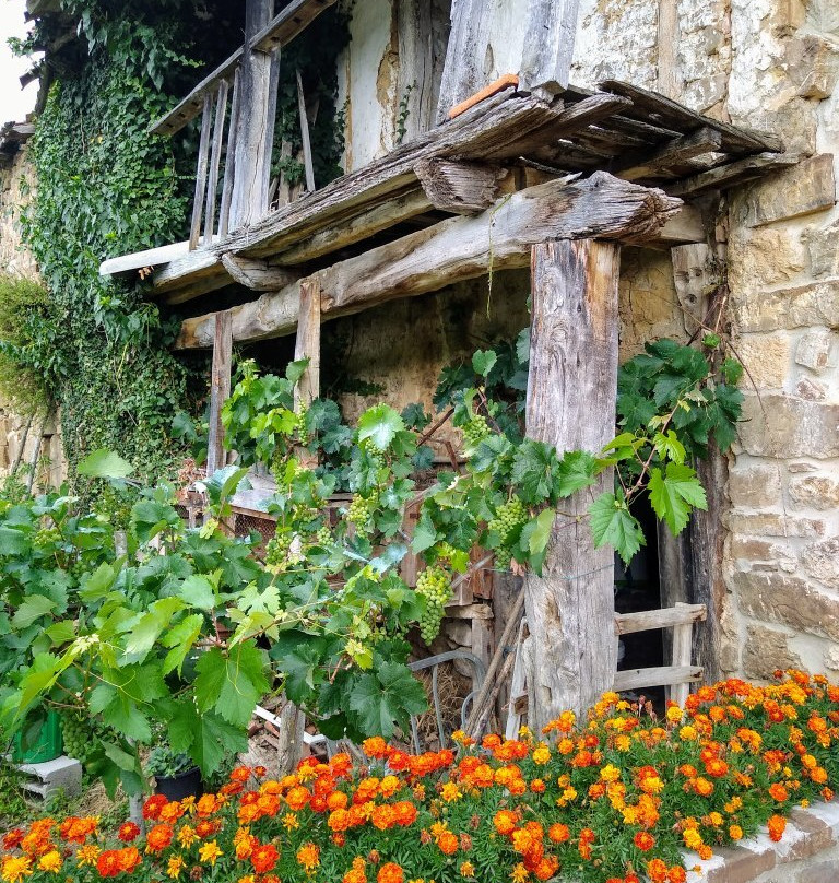 Posada Rural Viñon - Casa Reda主图