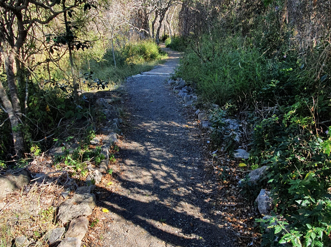 Mount Etna Caves National Park-The Caves必去景点