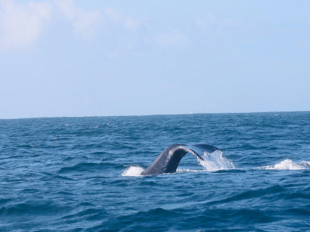海沙小屋&会议中心主图
