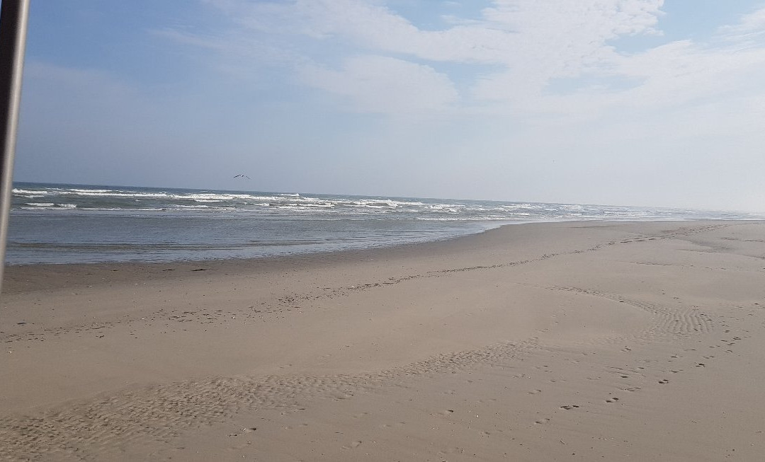 Terpstra Huifkartochten & Paardrijden景点图片