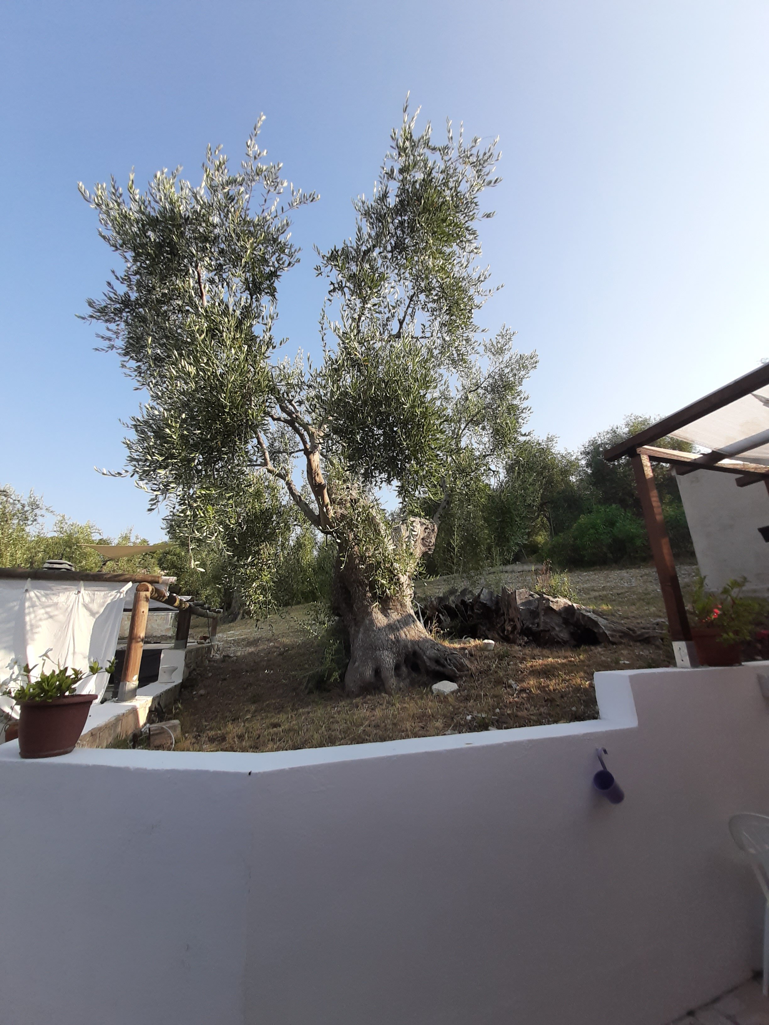 B&B Borgo Degli Ulivi-浴室