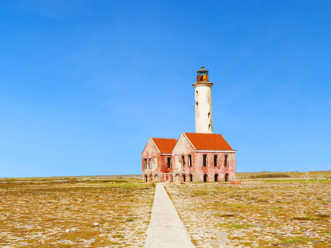 CT .com-威廉斯塔德必去景点