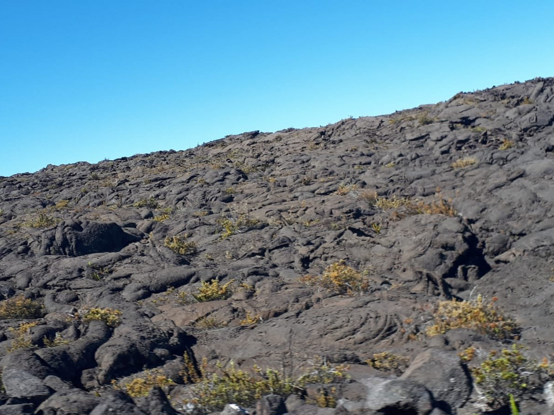 Mauna Loa Scenic Drive景点图片