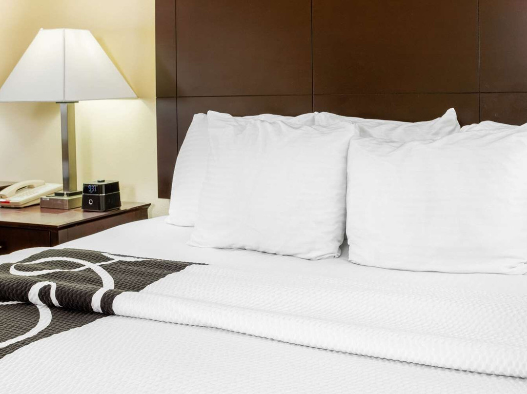 La Quinta Inn & Suites by Wyndham Ennis主图