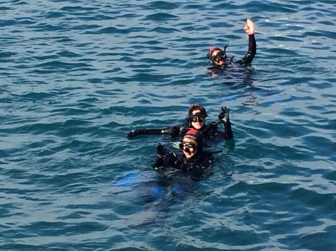 Diveria Diving Center景点图片