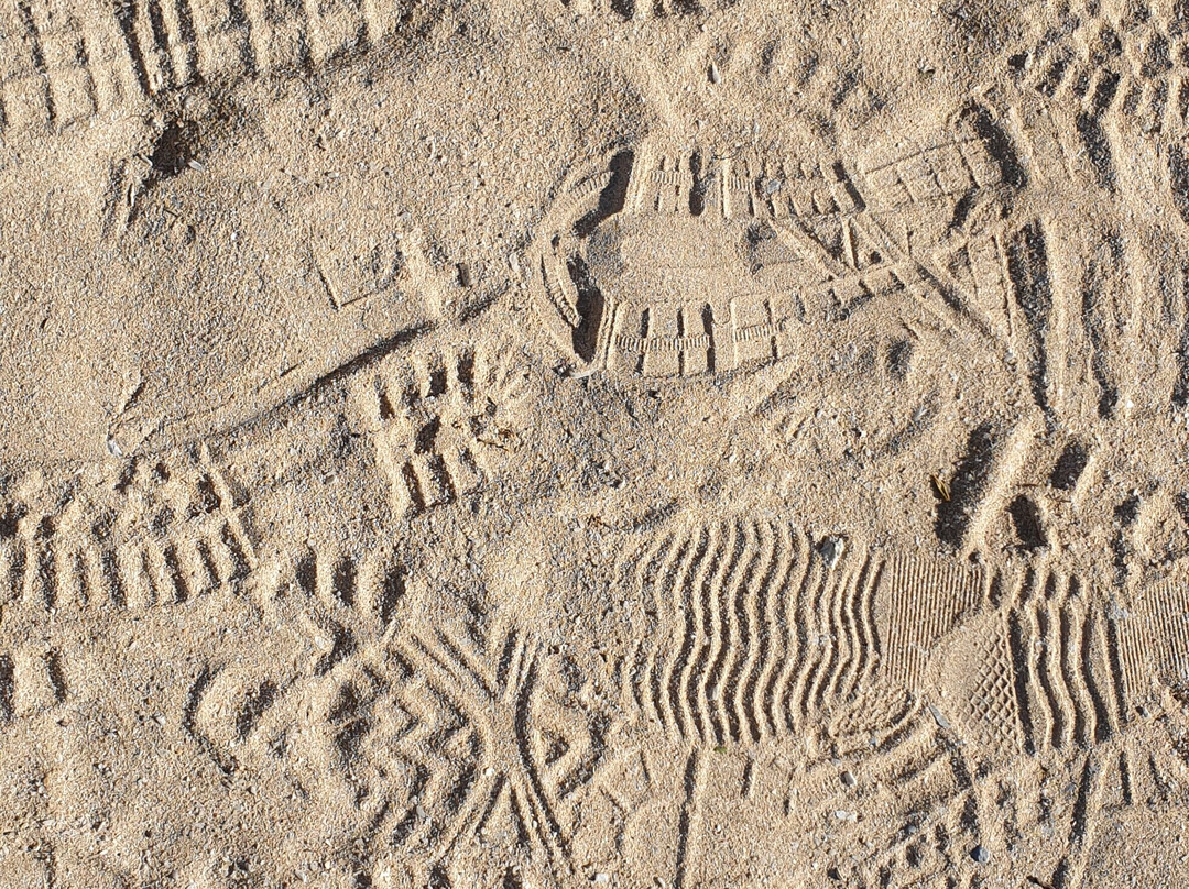 Cape Spencer Lighthouse-Inneston必去景点