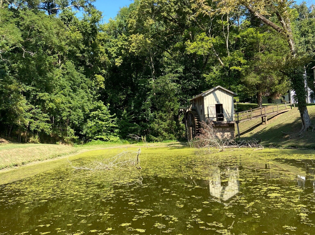 Grand Gulf Military Park景点图片