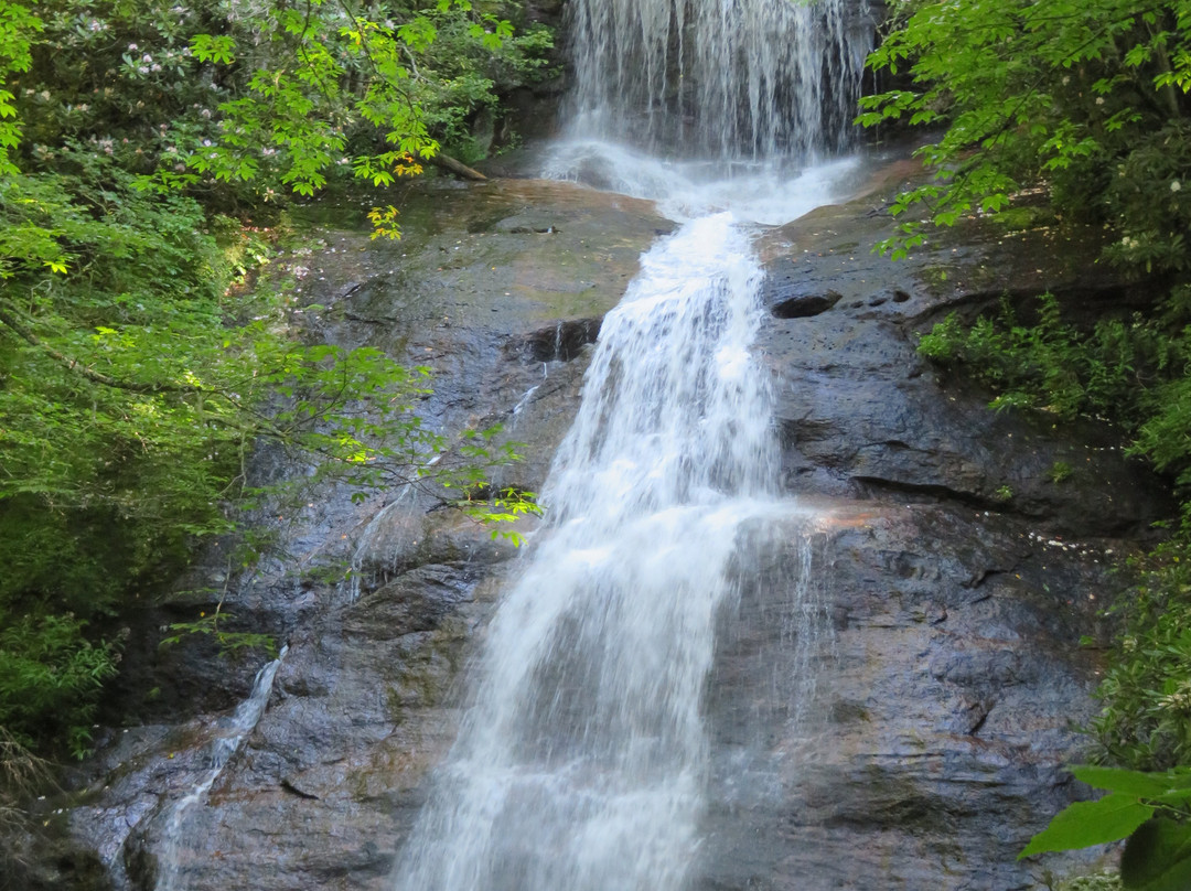 Miller's Land of Waterfall Tours景点图片