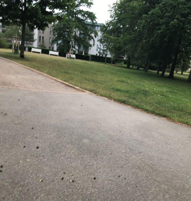 Warnemunde Kur Park-瓦勒慕必去景点