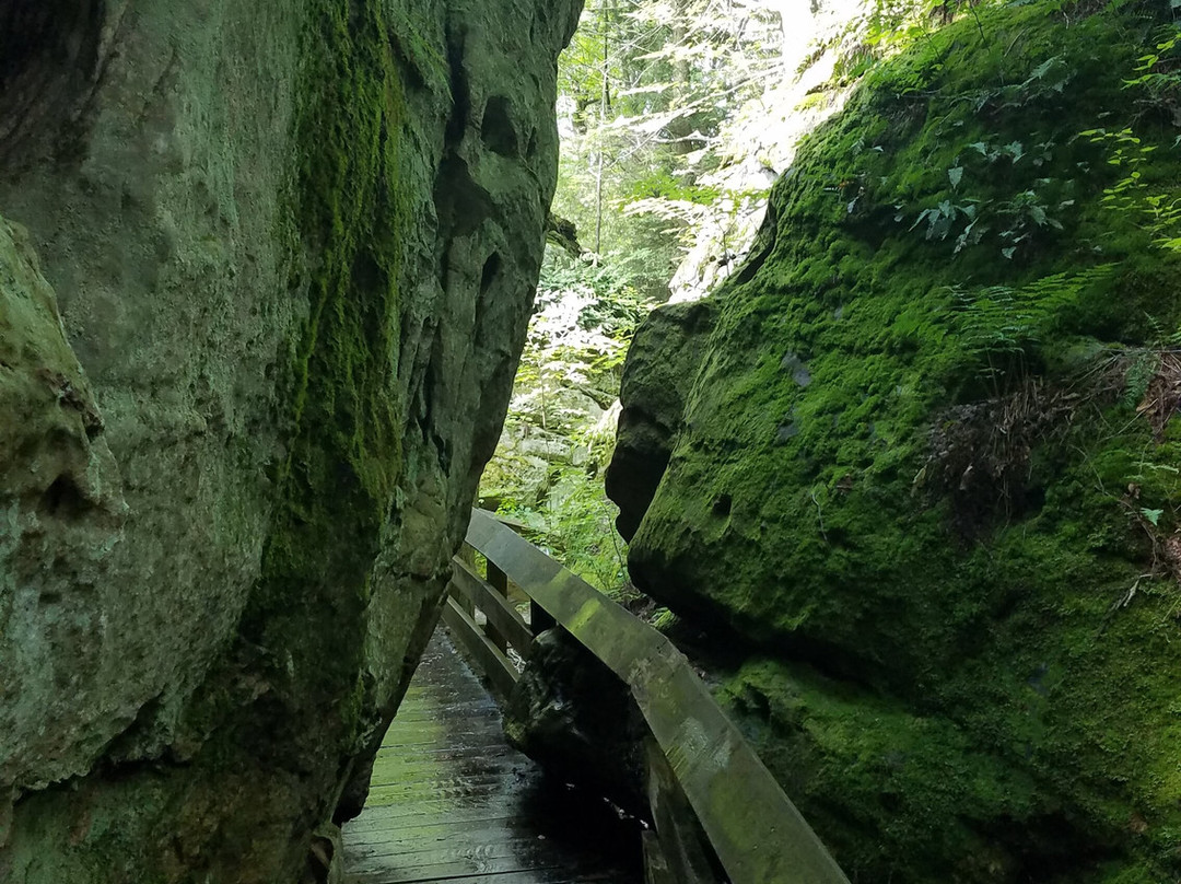 Beartown State Park景点图片