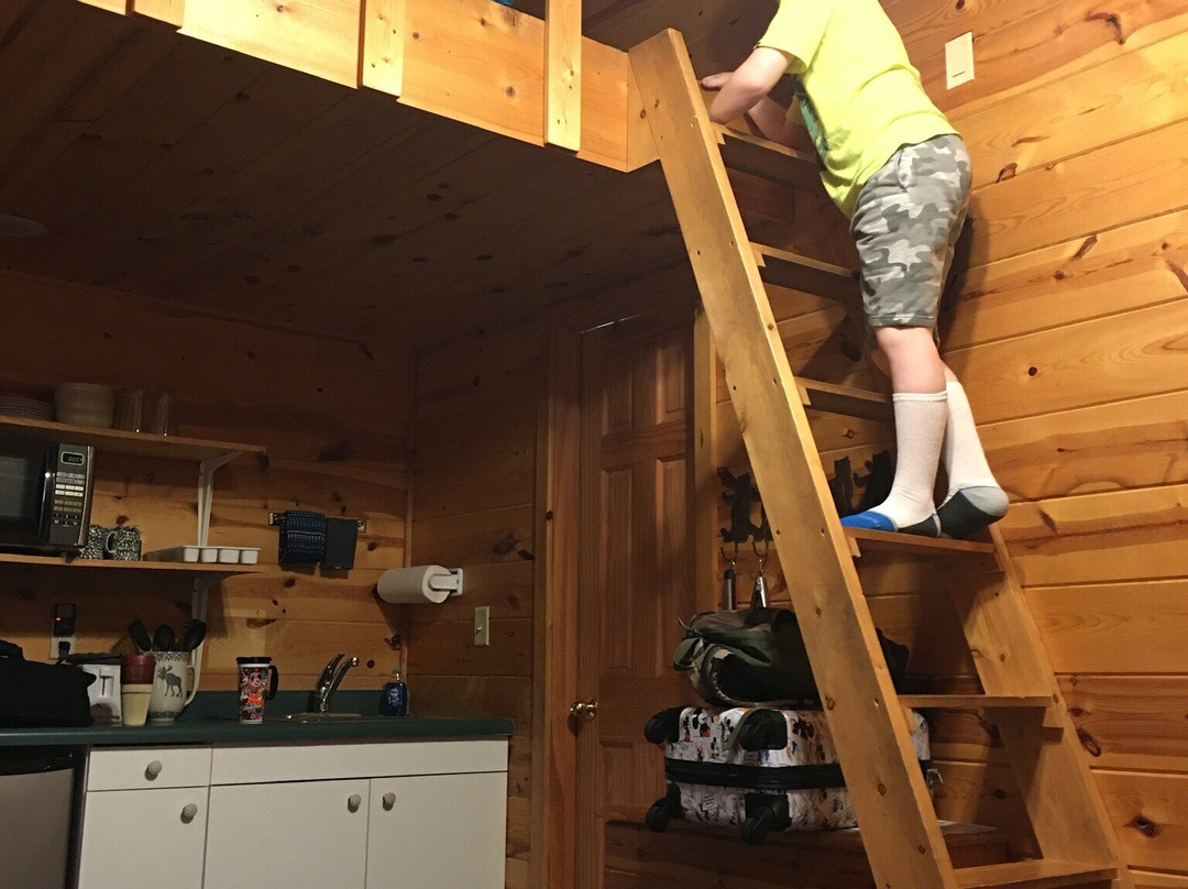 Mountain View Lodge & Cabins主图