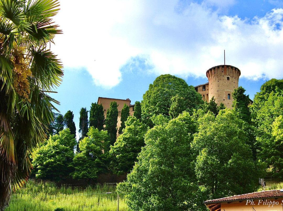 Castello Roero Di Monticello景点图片