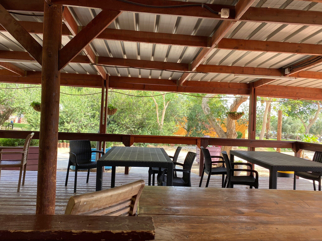 Elifaz - A Desert Holiday Experience主图