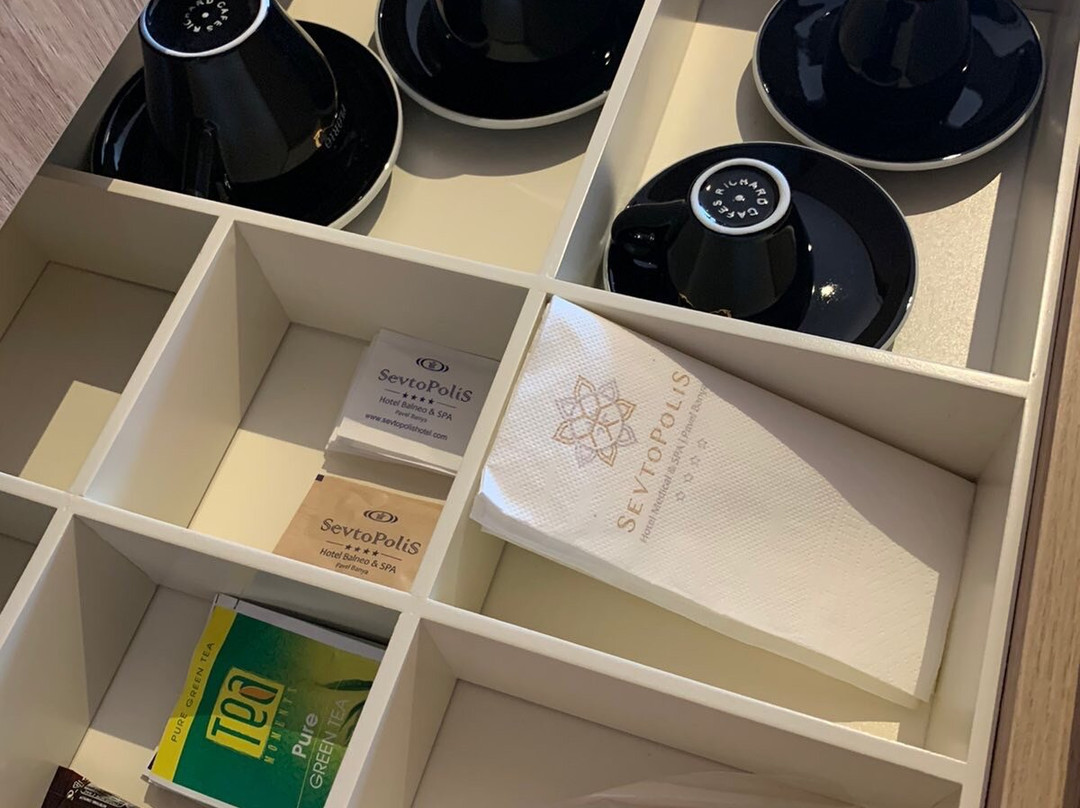 Sevtopolis Hotel Medical & SPA主图