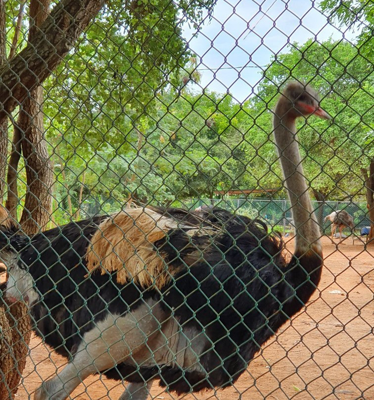 Birds Research Center & Resort景点图片