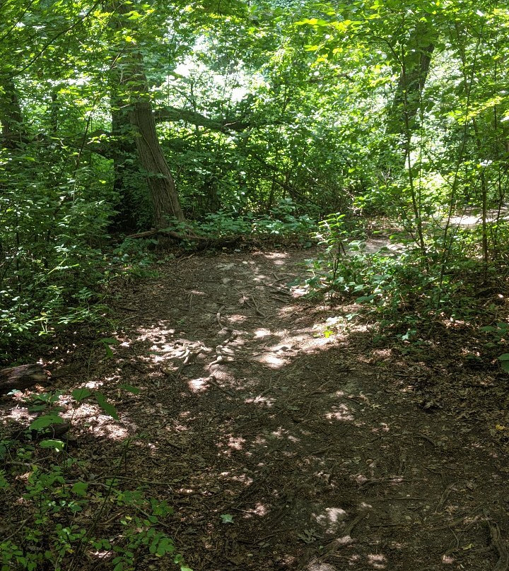 Trail View State Park-伍德伯里必去景点