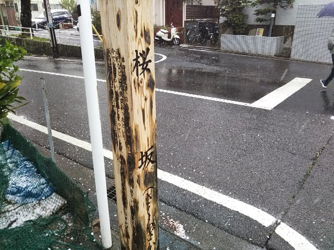 桜坂-大田区必去景点