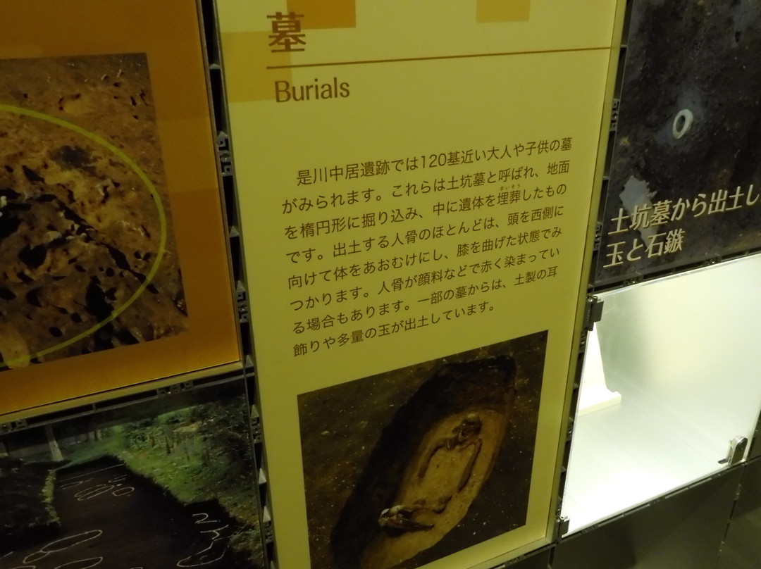 Korekawa Archaeological Institution-八户市必去景点