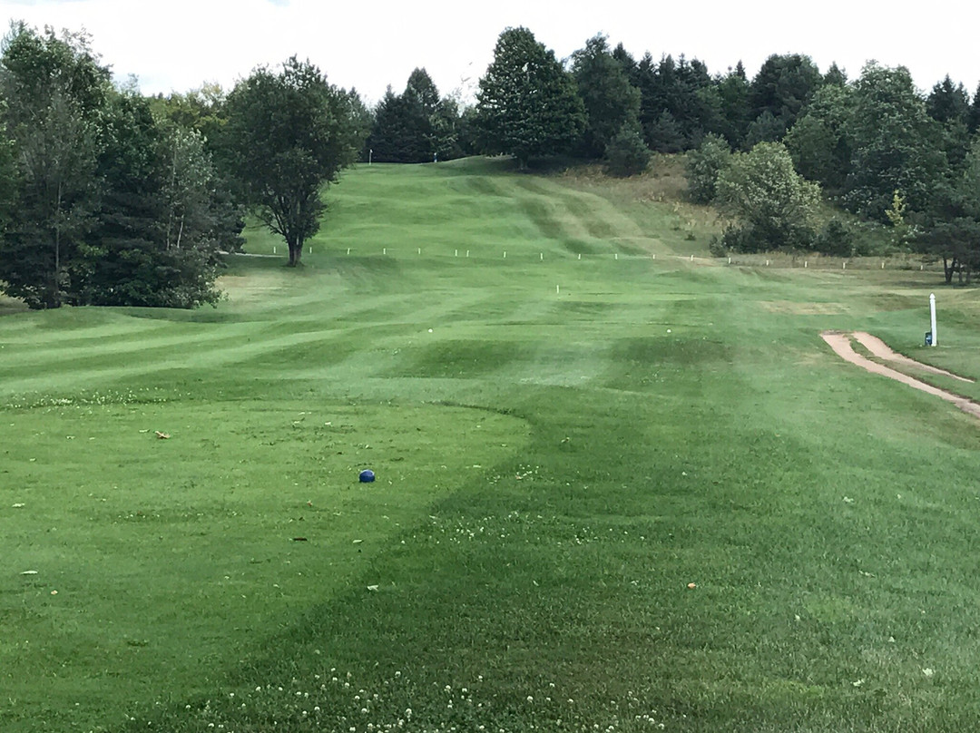 Timber Wolf Golf Club景点图片