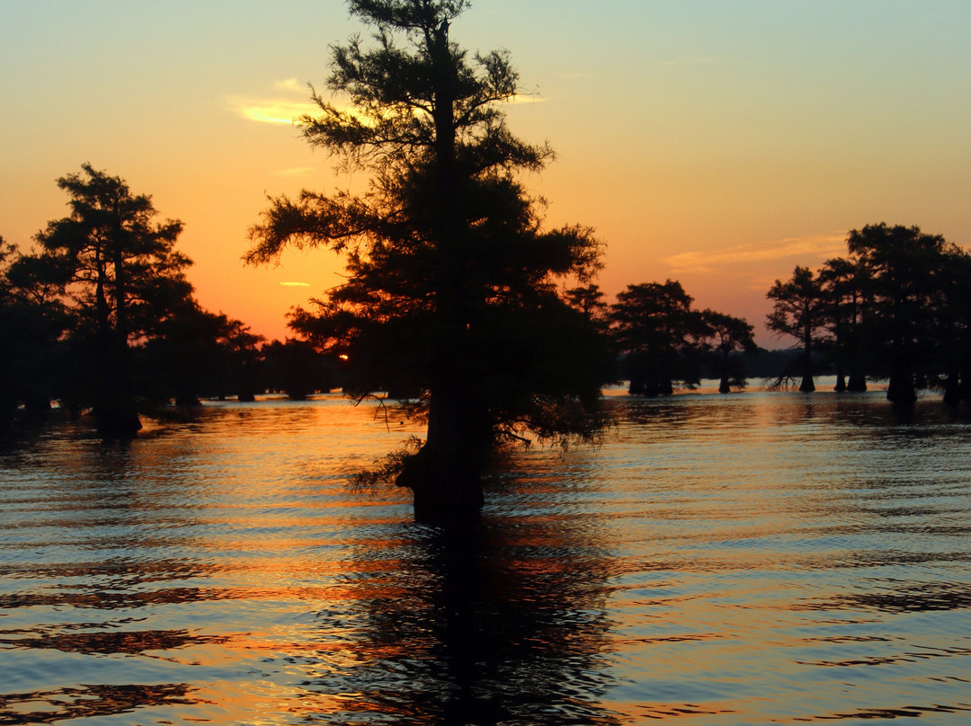 Big Cypress Tours-Uncertain必去景点