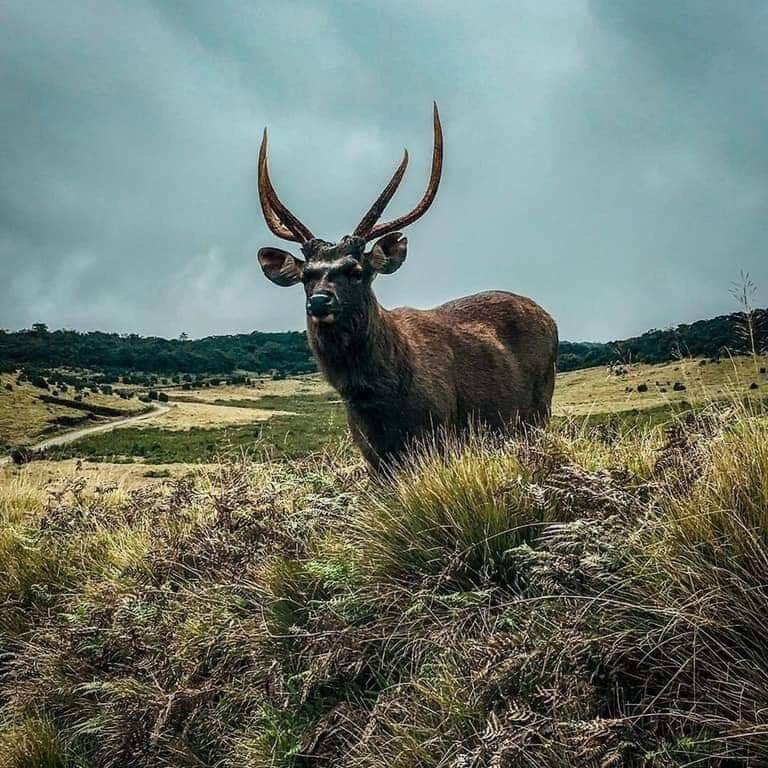 世界尽头-奴娃拉伊利雅必去景点