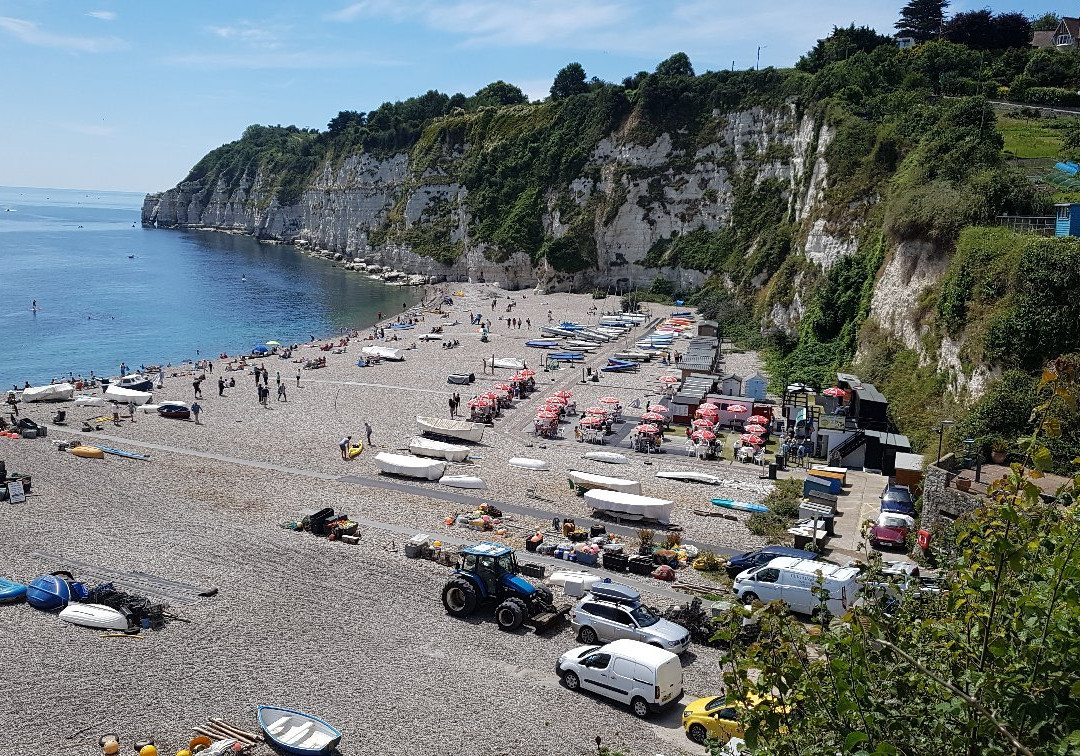 South West Coast Path - Hooken Cliffs-Beer必去景点