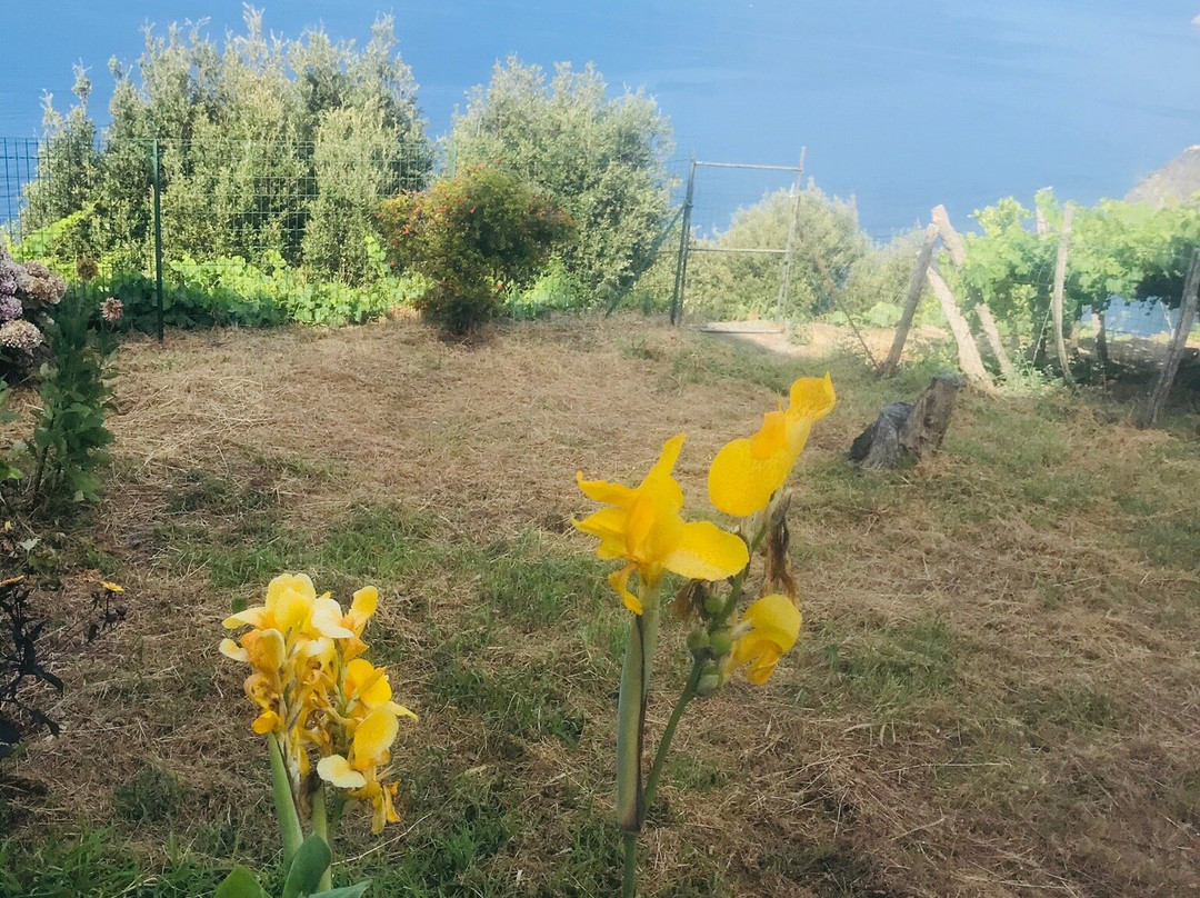 月神迪马索酒店主图