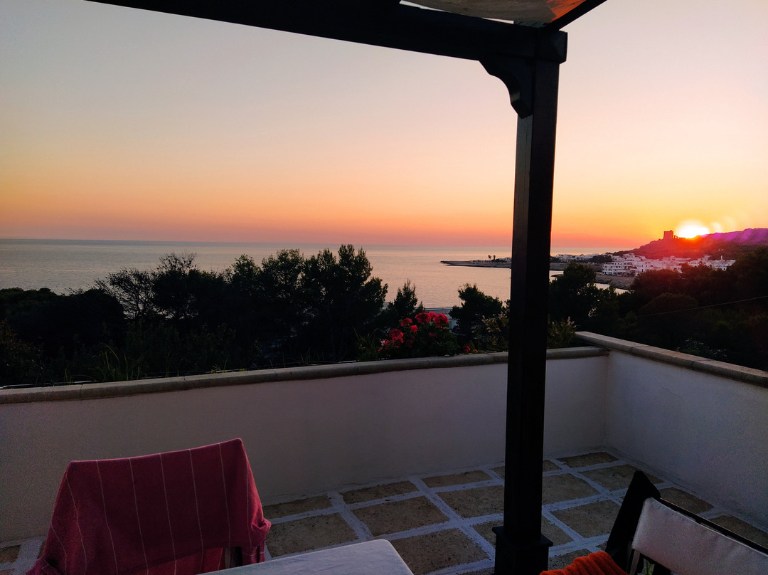 Cala D'aspide主图