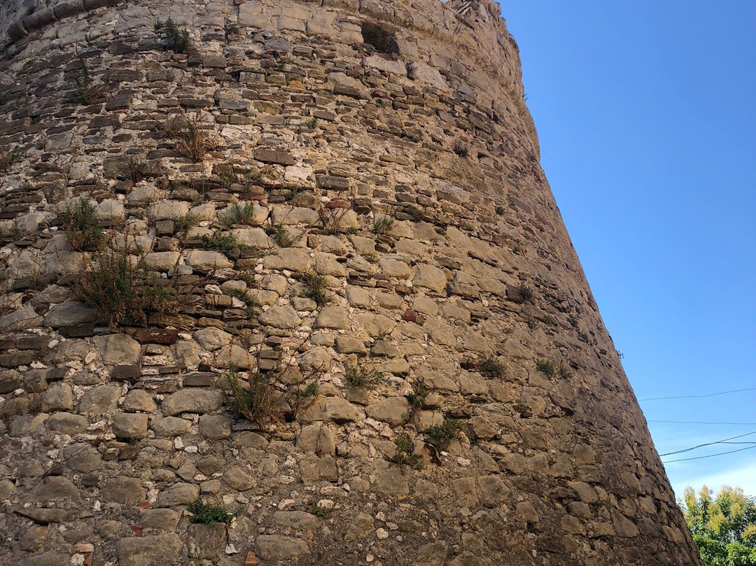 Torre di Paestum景点图片