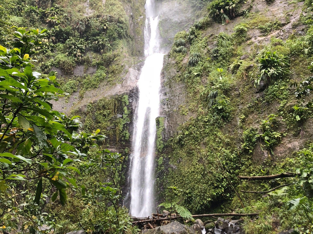 Trace des chutes Moreau-Goyave必去景点