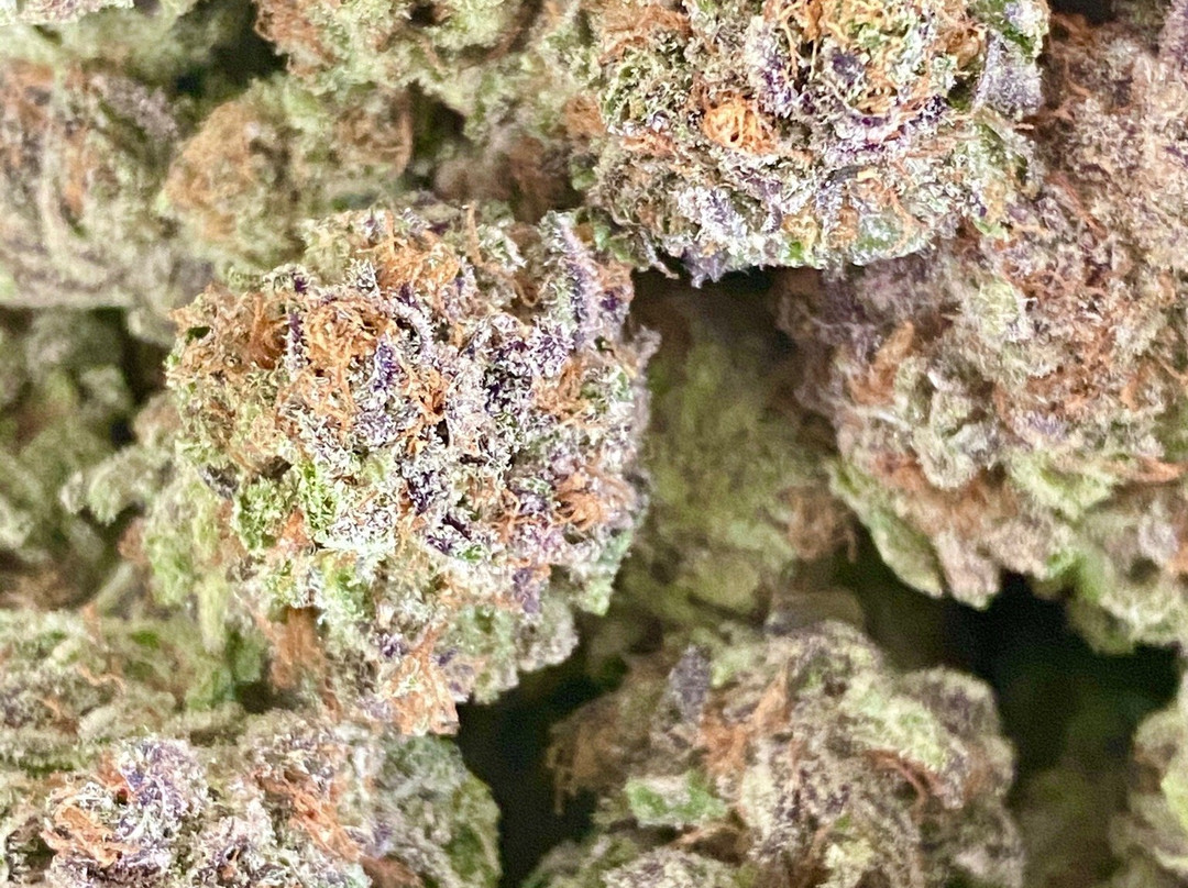 Green Island Herb-Verona Island必去景点