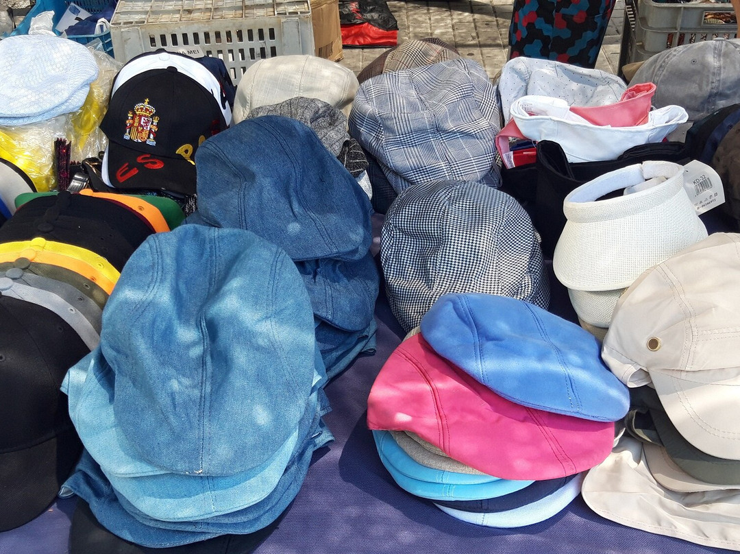 Mercadillo de los Pajaritos景点图片