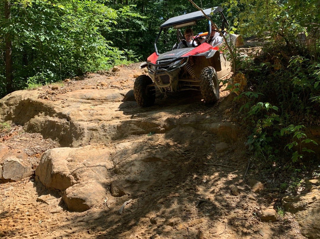 Wildcat Adventures Off Road Park-East Bernstadt必去景点