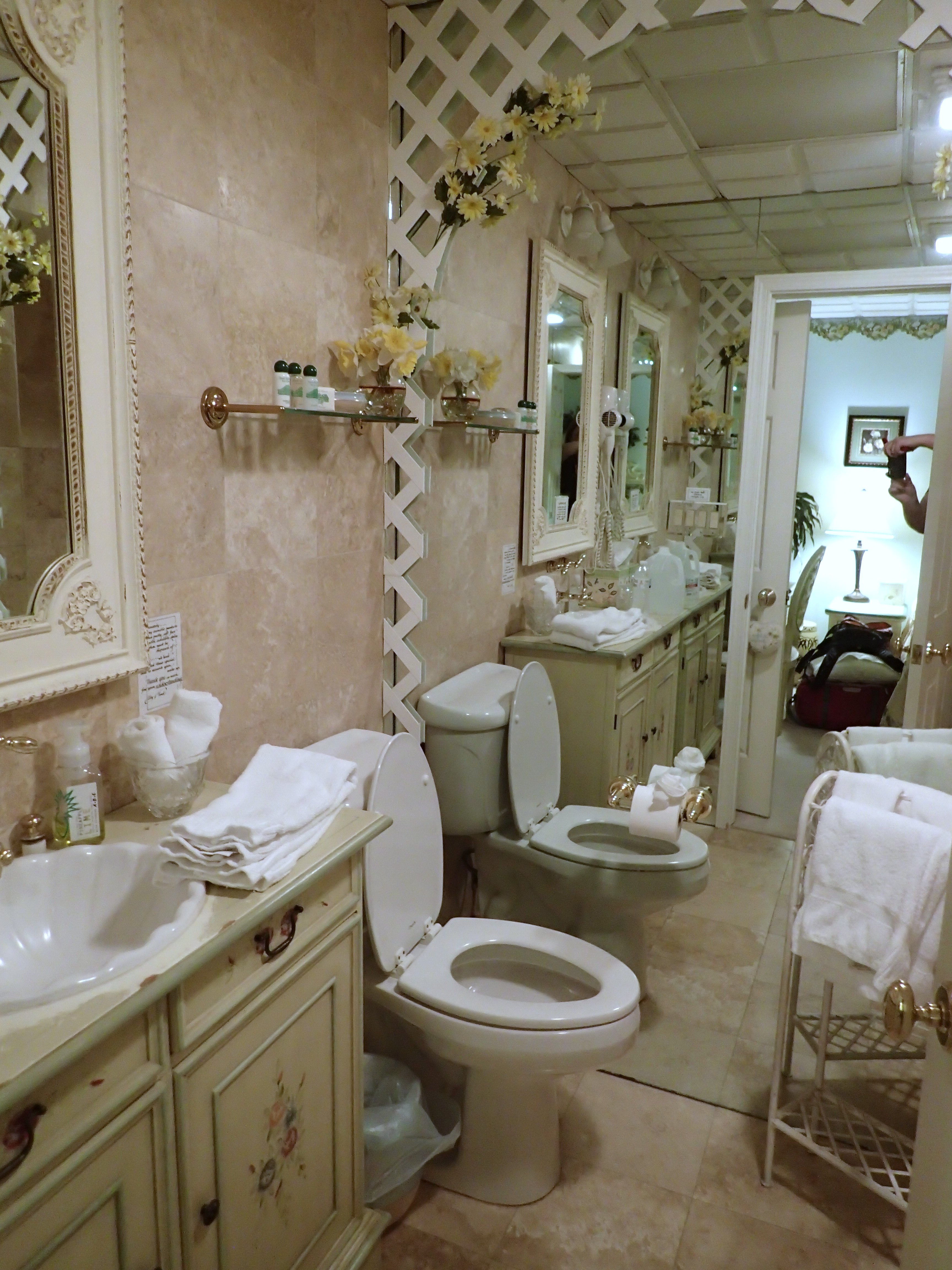 Toad Hall Manor Bed and Breakfast-浴室