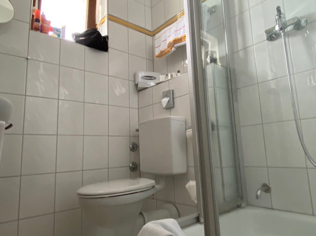 Treff Alpenhotel Kronprinz Berchtesgaden主图