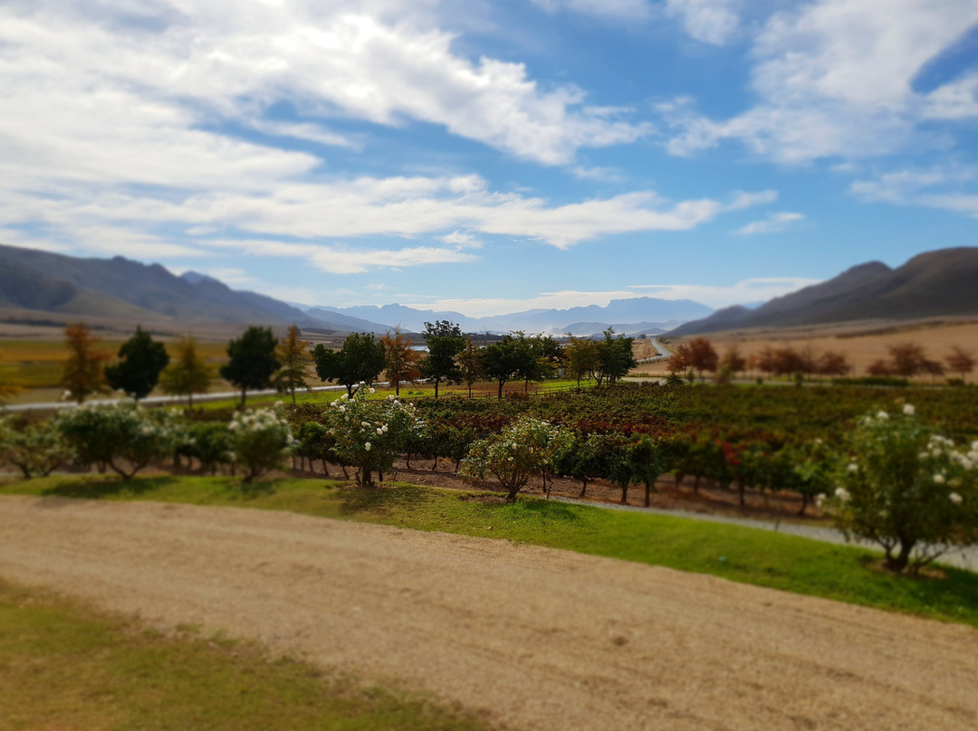 Stettyn Cellar-伍斯特必去景点