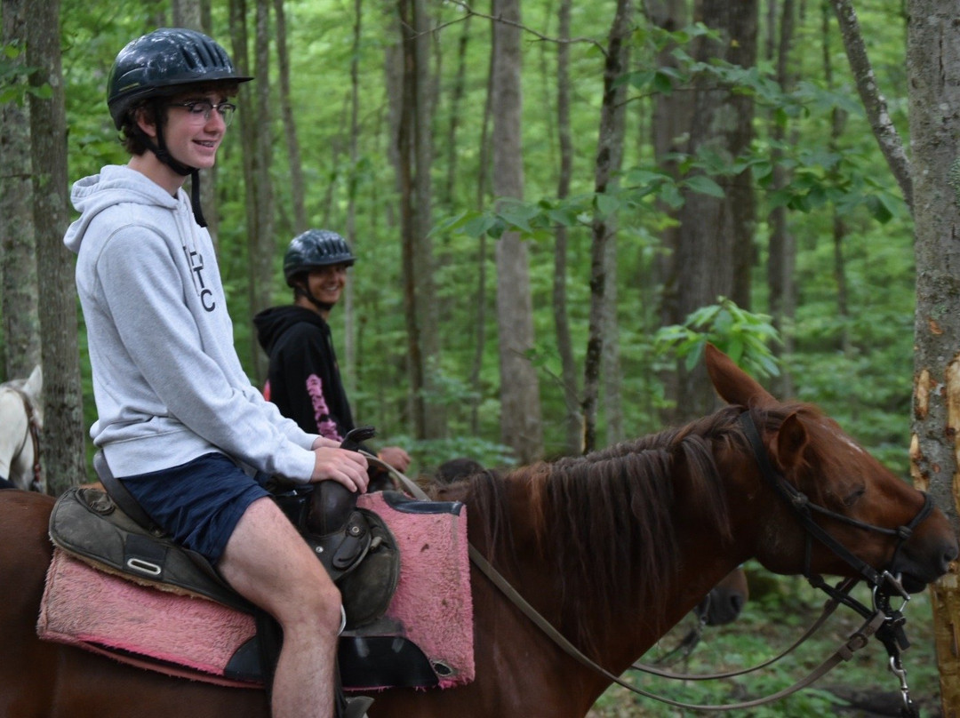 Equestrian Adventures-Fayetteville必去景点