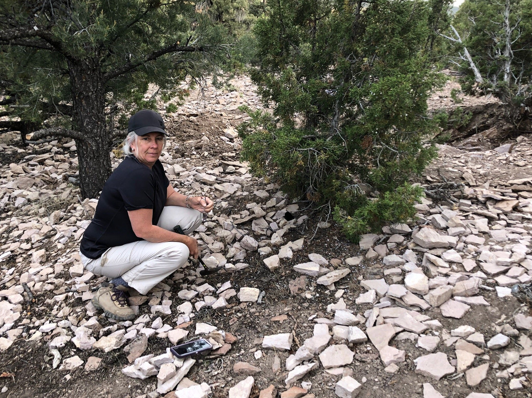 Garnet Hill-Ely必去景点