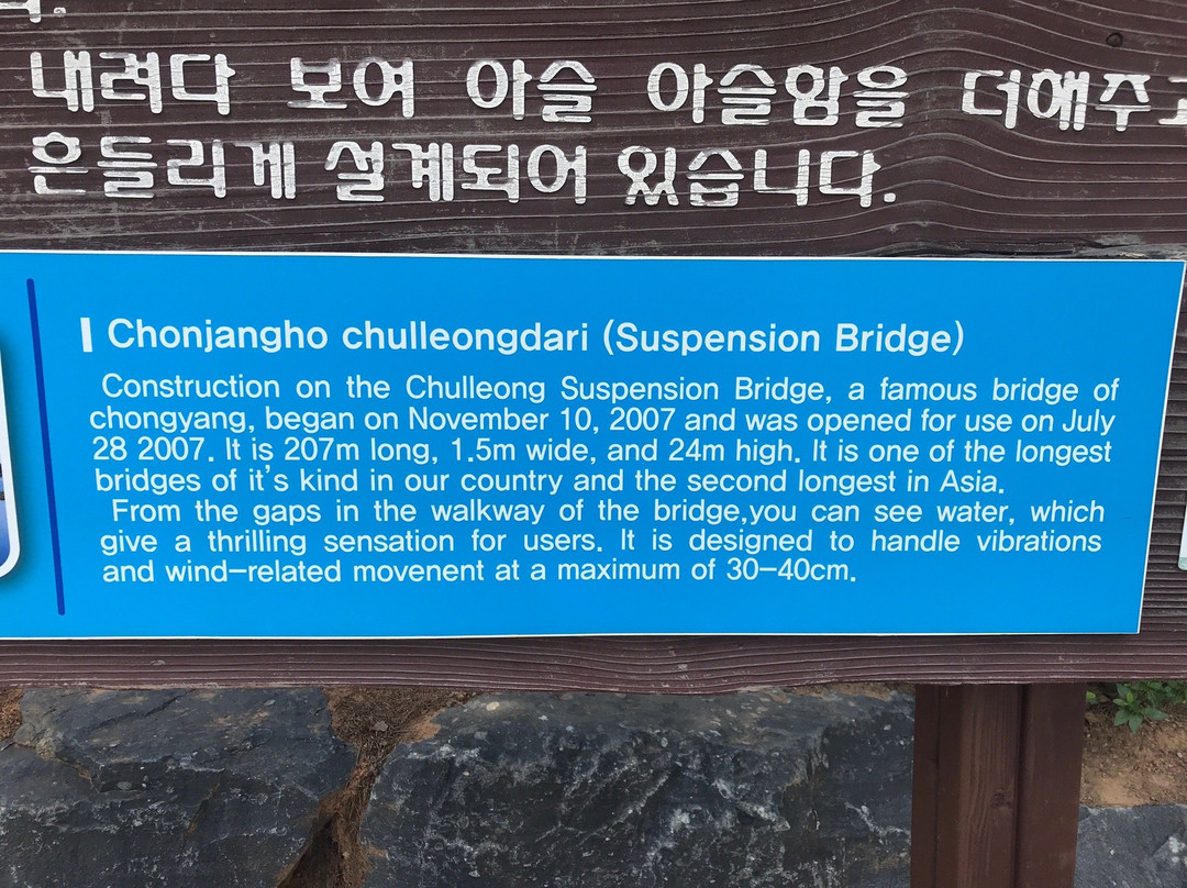 Cheonjang Lake Suspension Bridge-青阳郡必去景点
