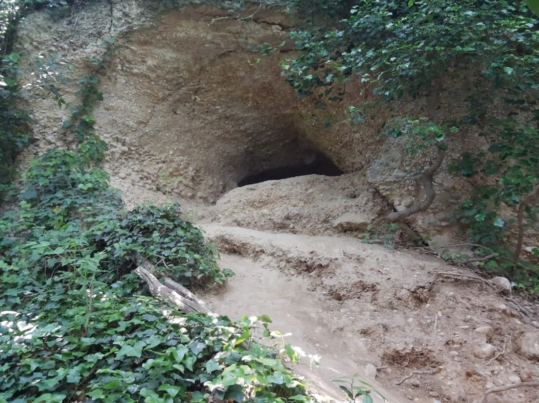 Percorso del Bosco del Cugnolo-费尔莫必去景点
