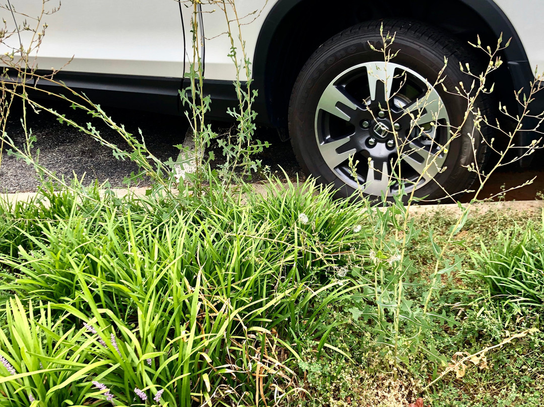 Courtyard by Marriott Charlotte Gastonia主图