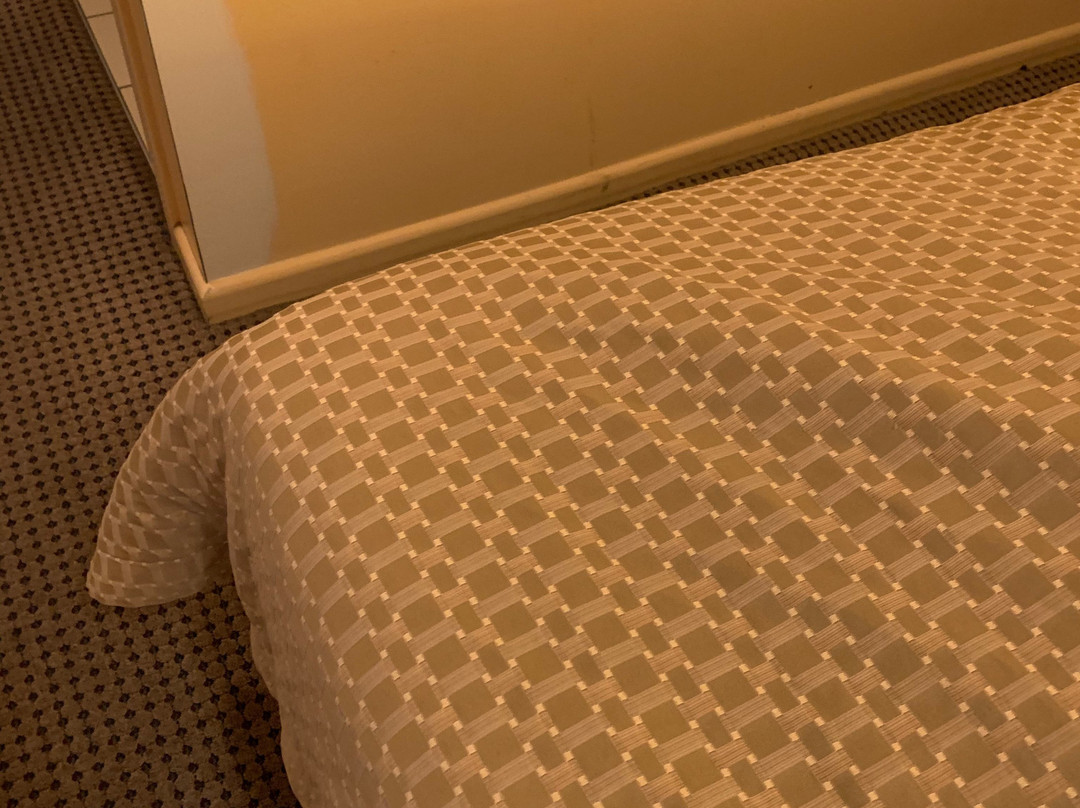 Nightcap at Horse & Jockey Hotel Warrick主图