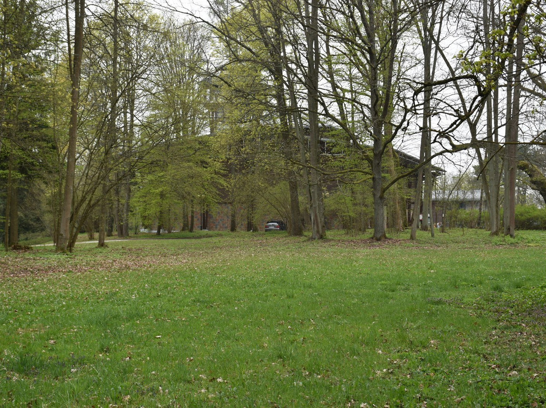 Park Pałacowy景点图片