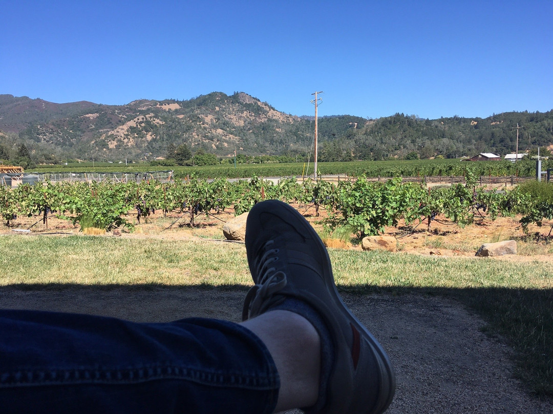 Brian Arden Winery-卡利斯托加必去景点