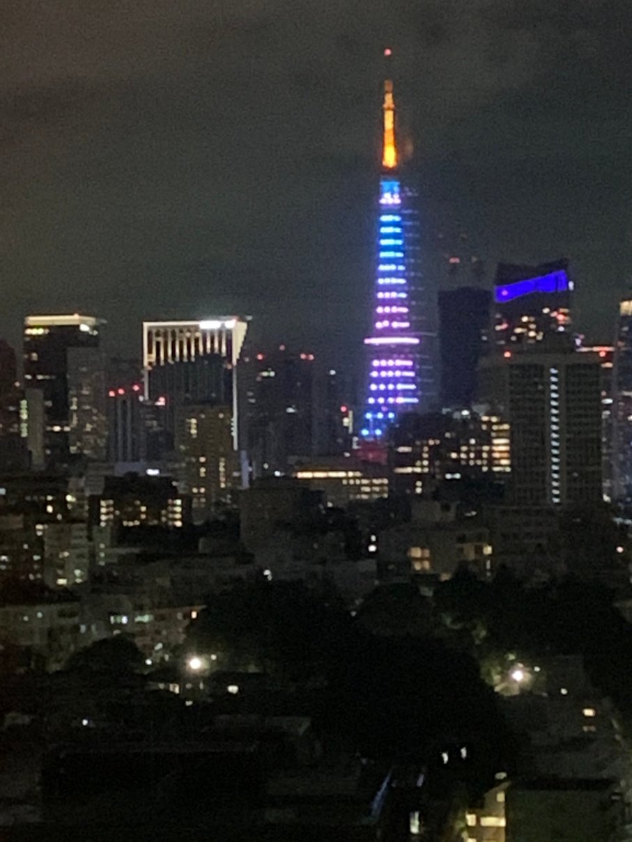 APA品川泉岳寺站前酒店-浴室